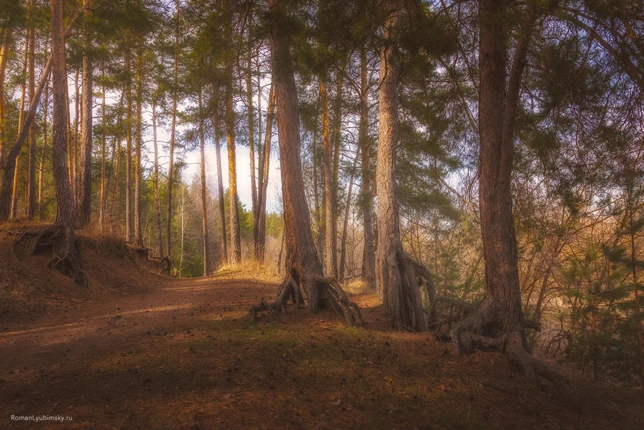 Портфолио. Пейзажный & Timelapse фотограф Роман Любимский
