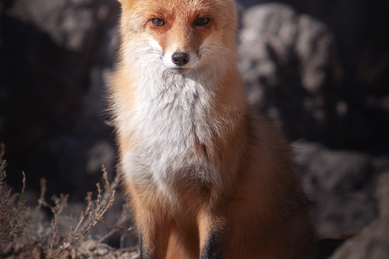 Портфолио. Пейзажный & Timelapse фотограф Роман Любимский