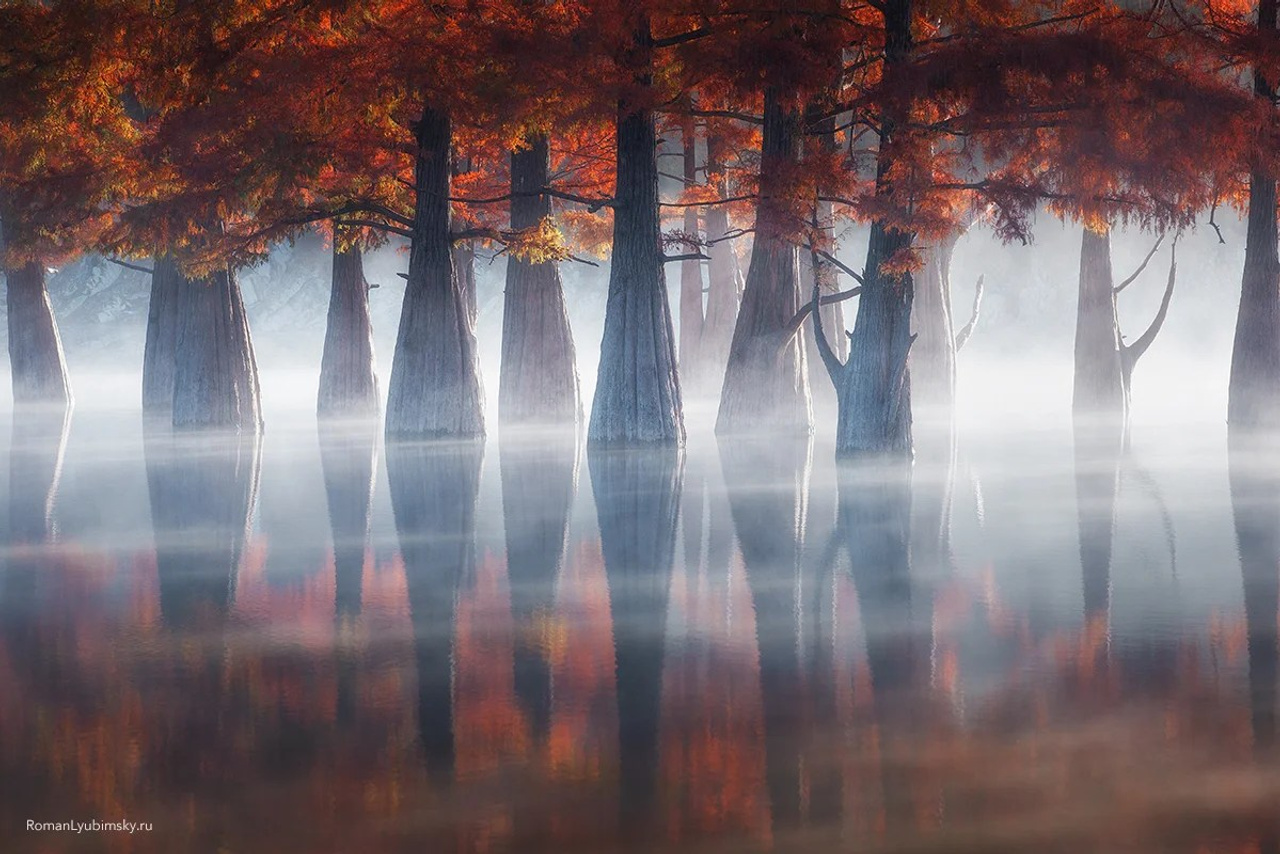 Портфолио. Пейзажный & Timelapse фотограф Роман Любимский