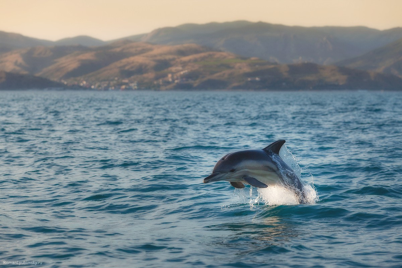 Портфолио. Пейзажный & Timelapse фотограф Роман Любимский