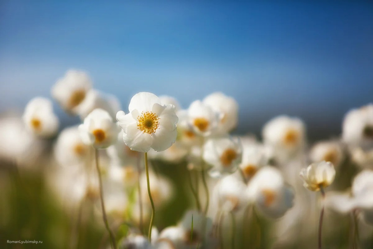 Портфолио. Пейзажный & Timelapse фотограф Роман Любимский