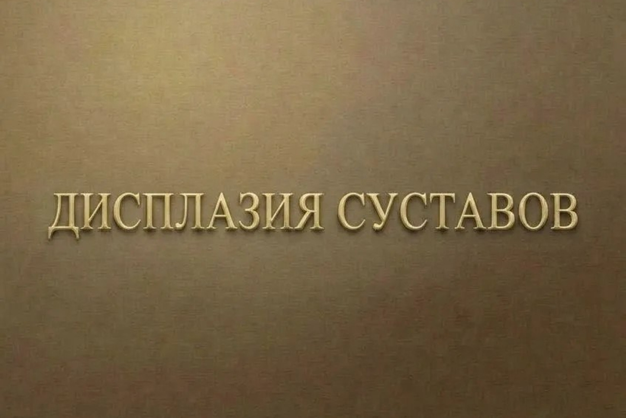 Полезная информация о собаках. ПИТОМНИК СОБАК ПОРОДЫ АМЕРИКАНСКИЙ БУЛЛИ