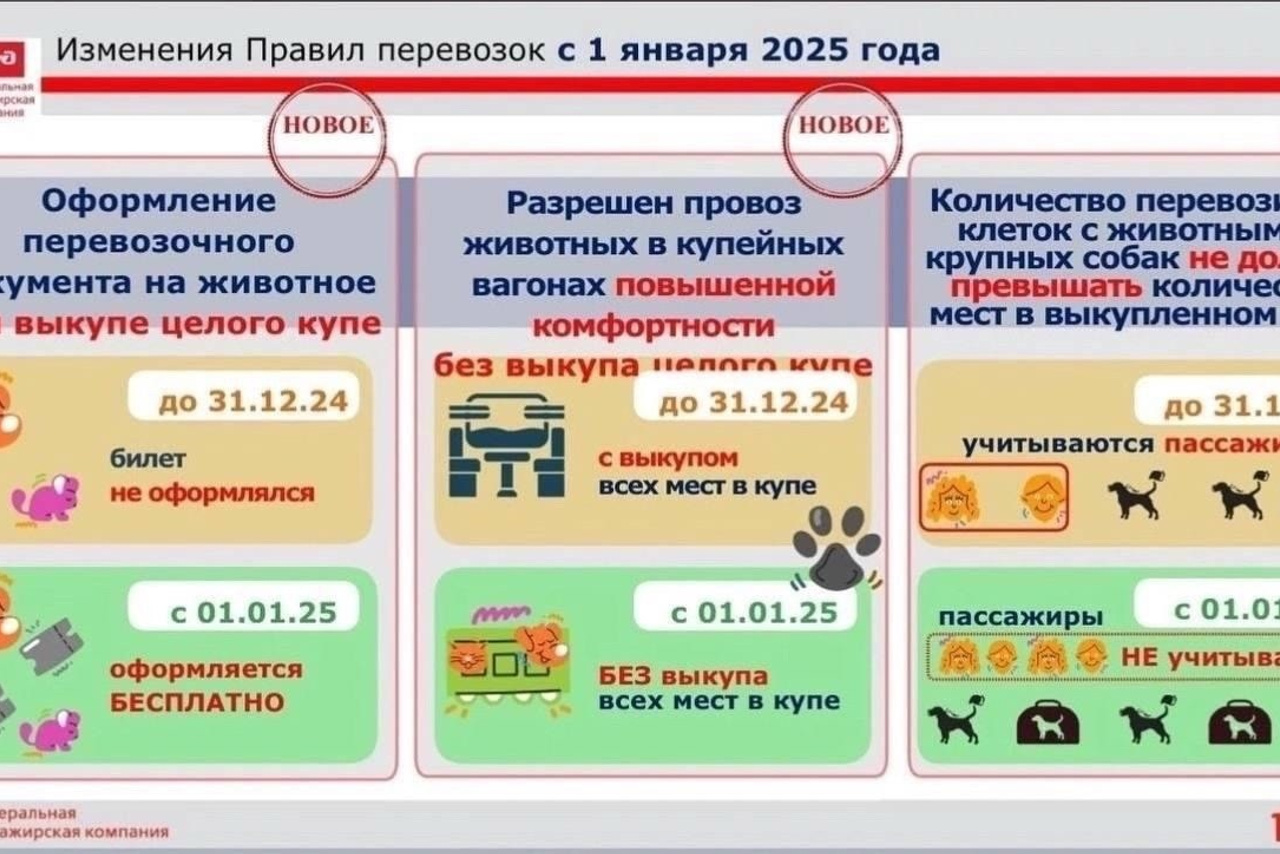 Полезная информация о собаках. ПИТОМНИК СОБАК ПОРОДЫ АМЕРИКАНСКИЙ БУЛЛИ