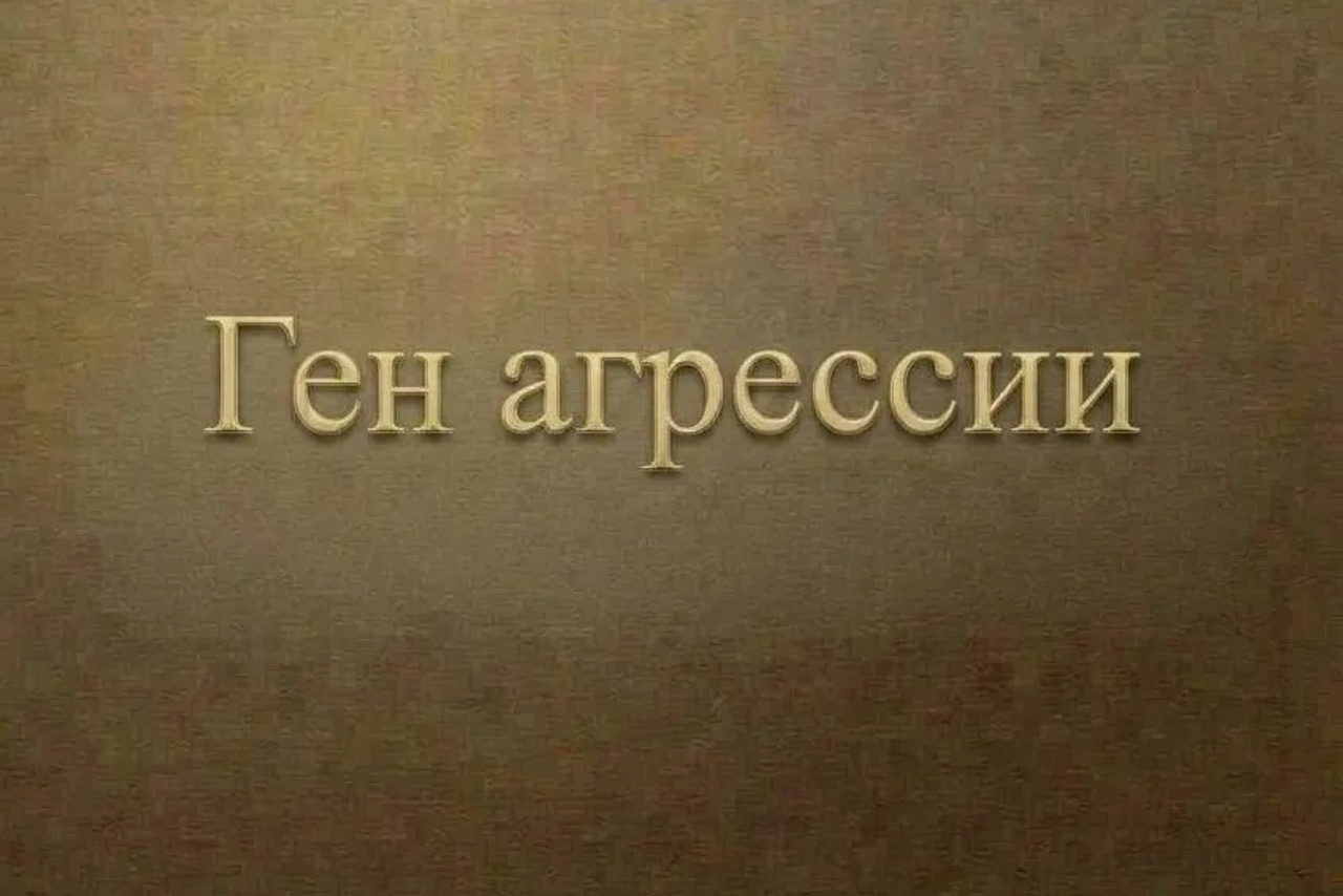 Полезная информация о собаках. ПИТОМНИК СОБАК ПОРОДЫ АМЕРИКАНСКИЙ БУЛЛИ