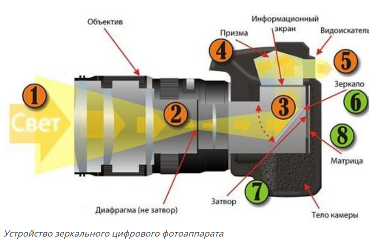 Обзор объективов. Фотоцентр Перспектива: выпускные альбомы, фотошкола, курсы фотографии