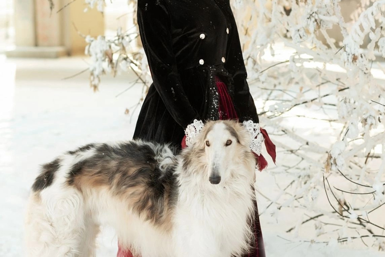 Ретро. Свадебный, семейный и школьный фотограф в Иркутске Беломестнова Ольга