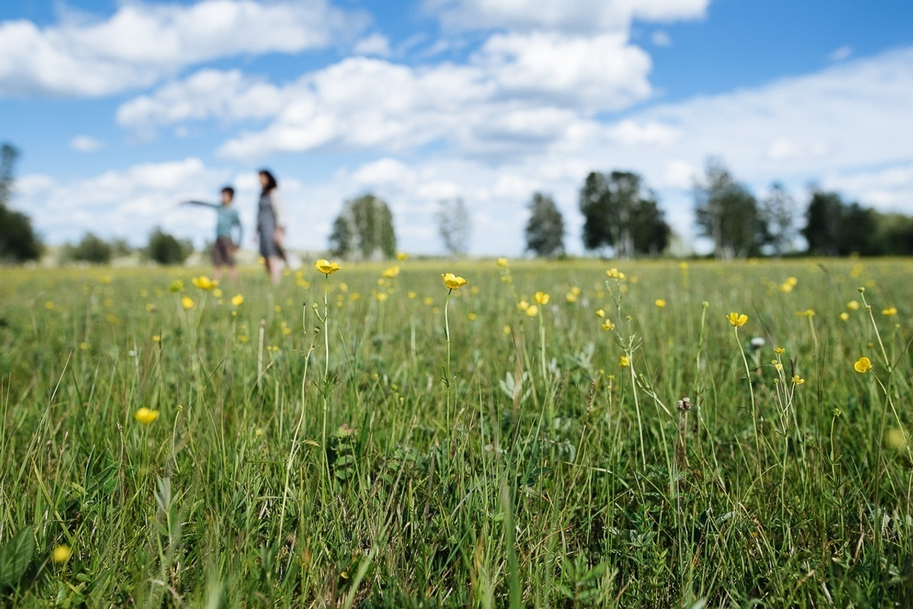 Ближе к солнцу, ближе к ветру