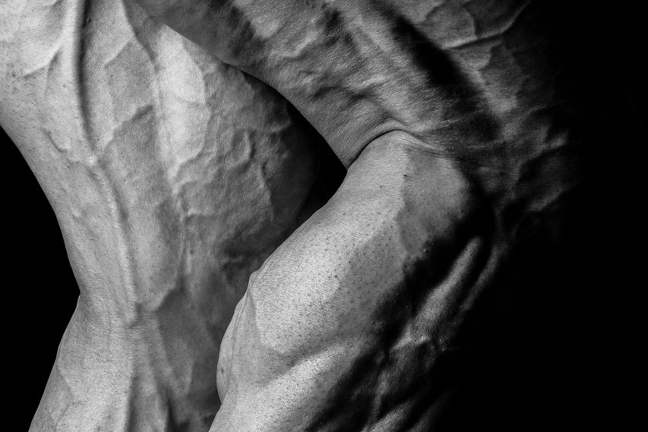 Серии фотографий. Фотограф Александра Тимофеева