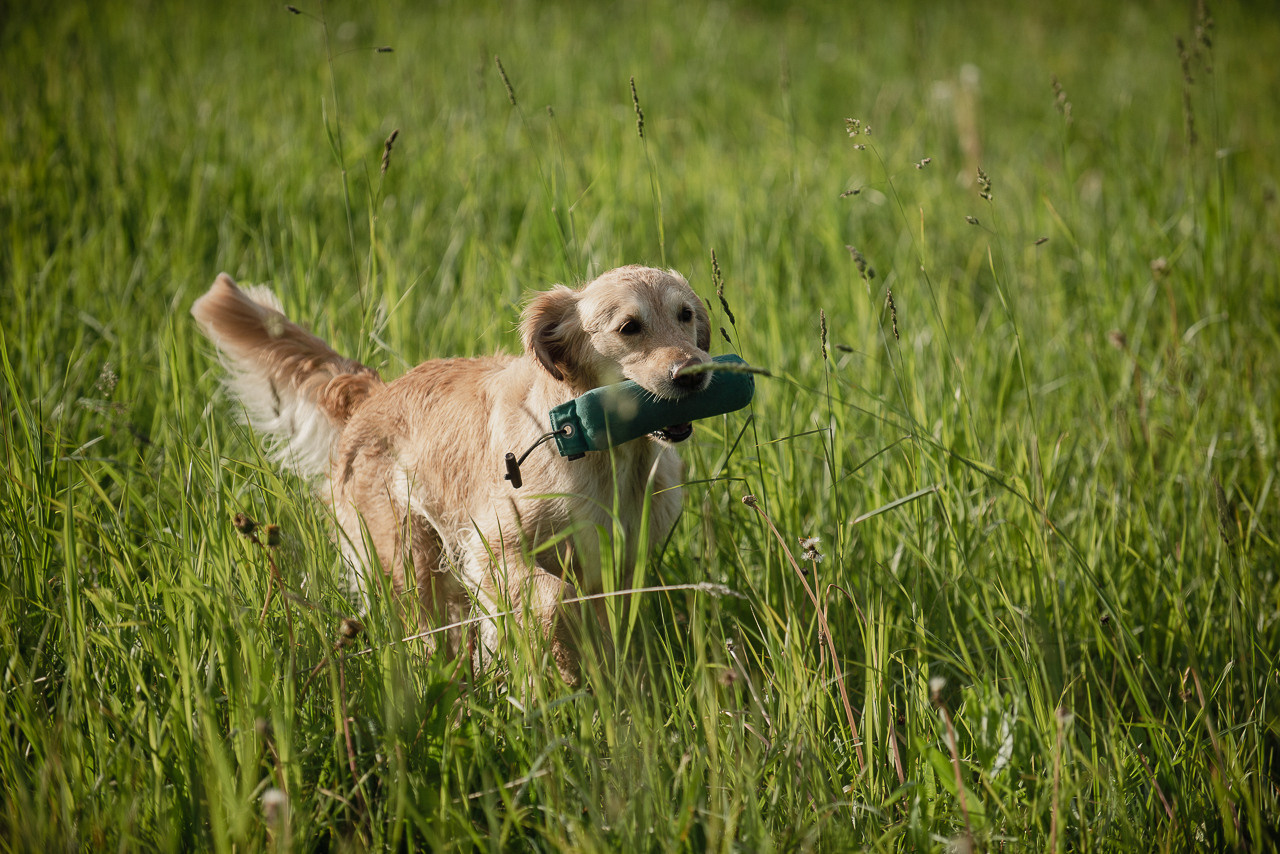 Несертификатный воркинг тест Школы Шмеля, 10 июня 2023