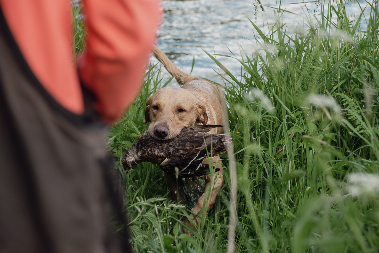 Испытания МОО «Школа Шмеля» 11 июня 2023