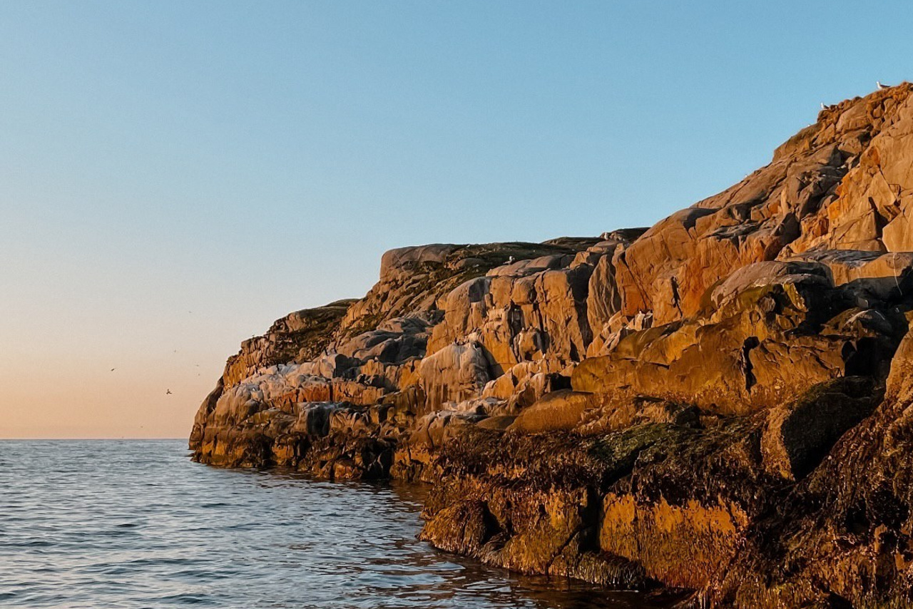 Почему шансы встретить китов на Камчатке выше, чем в Мурманске?