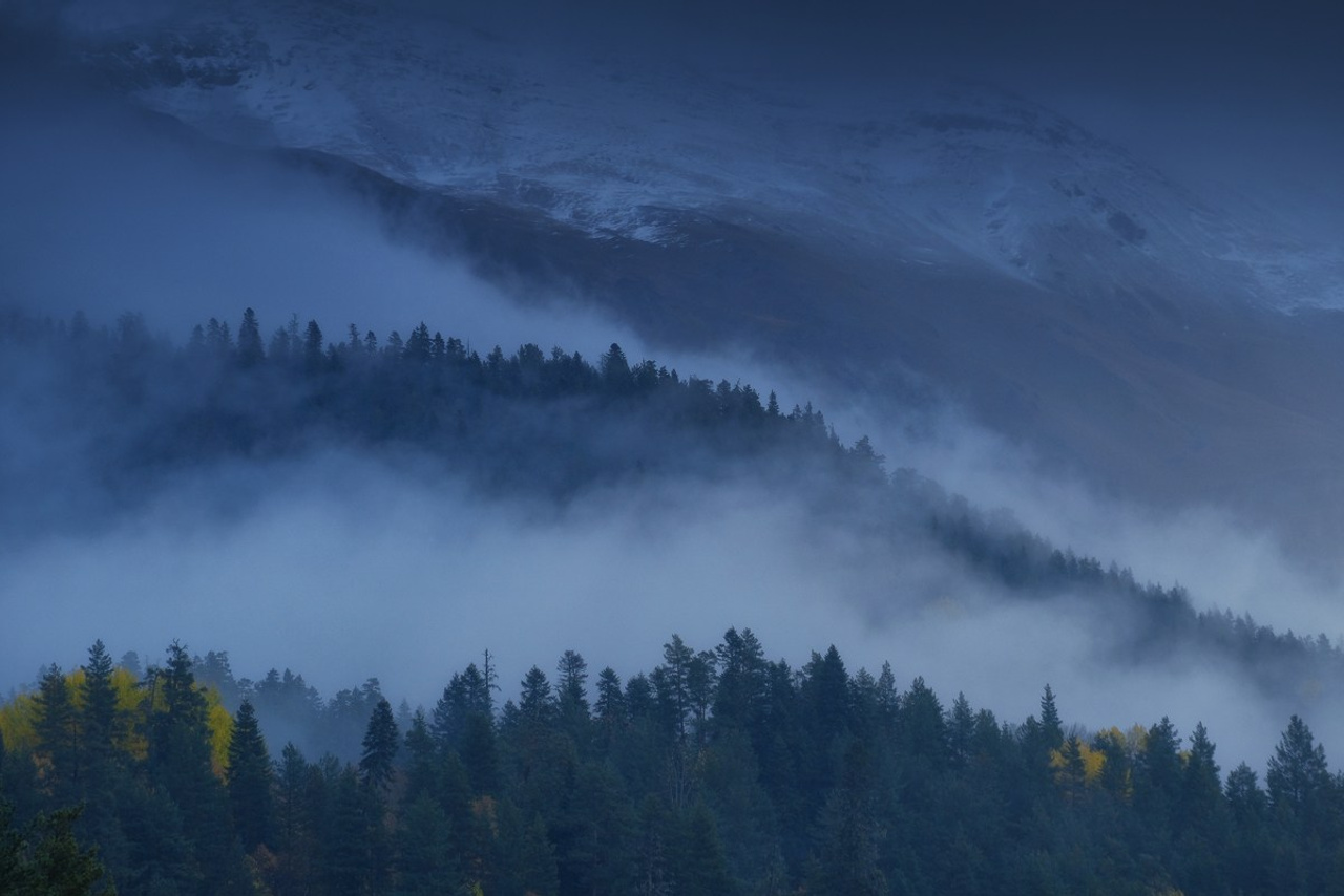 Осенние истории