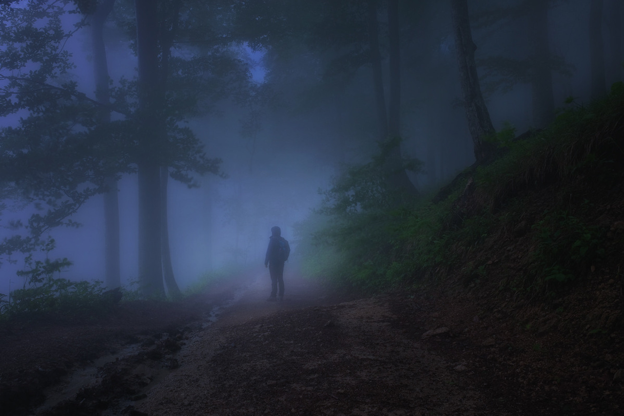 Другие пейзажи