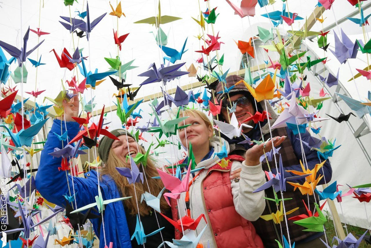 Фестиваль Дикая Мята