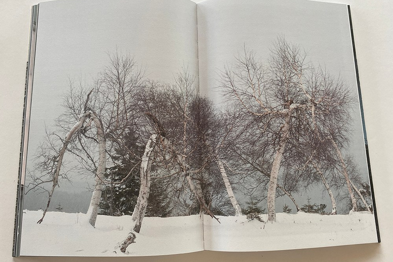 Выставка Ольги Чернышевой «Улица сна». Private image