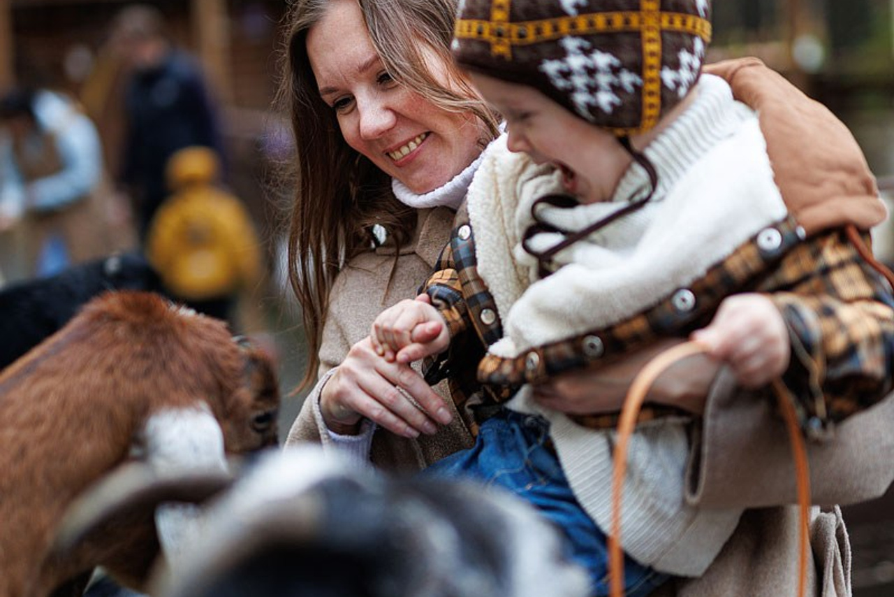 Прогулка в контактном зоопарке