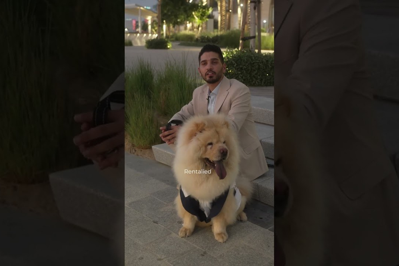 REELS. Антон Сергеевич | Оператор, Монтажер