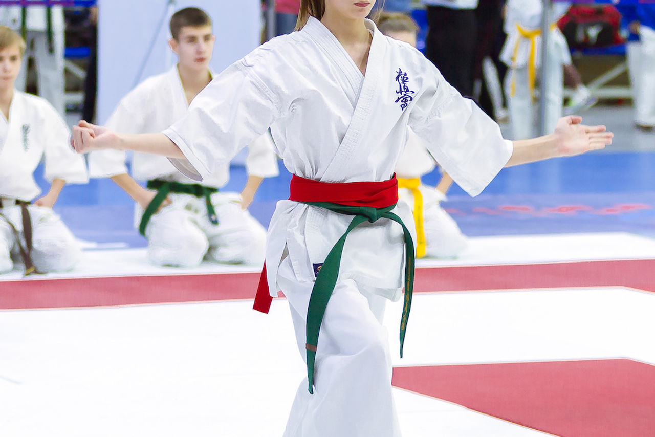 Чемпионат России по Киокушинкай (ноябрь 2022)