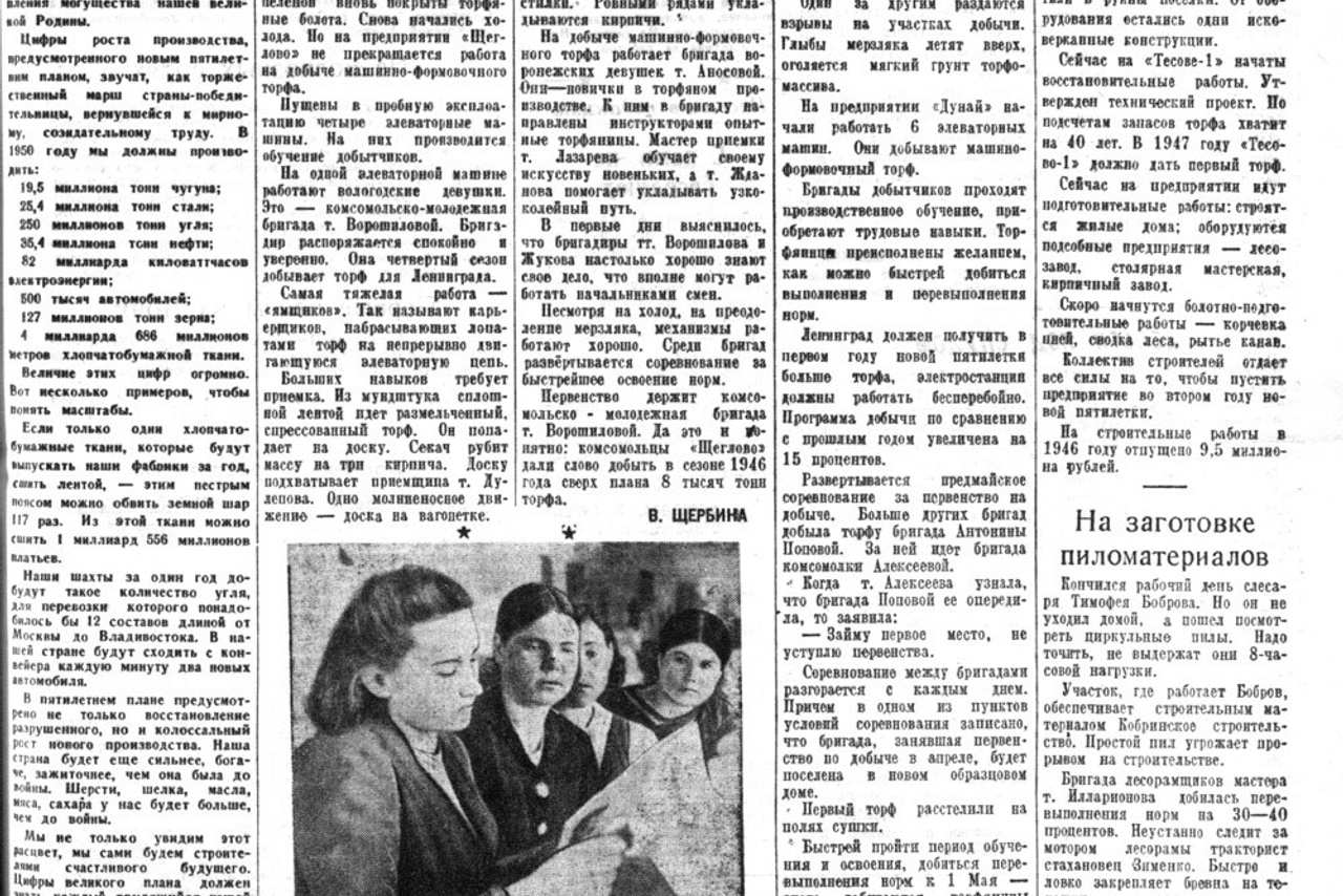 Выпуски газеты за 1950 год. История Назиевского городского поселения