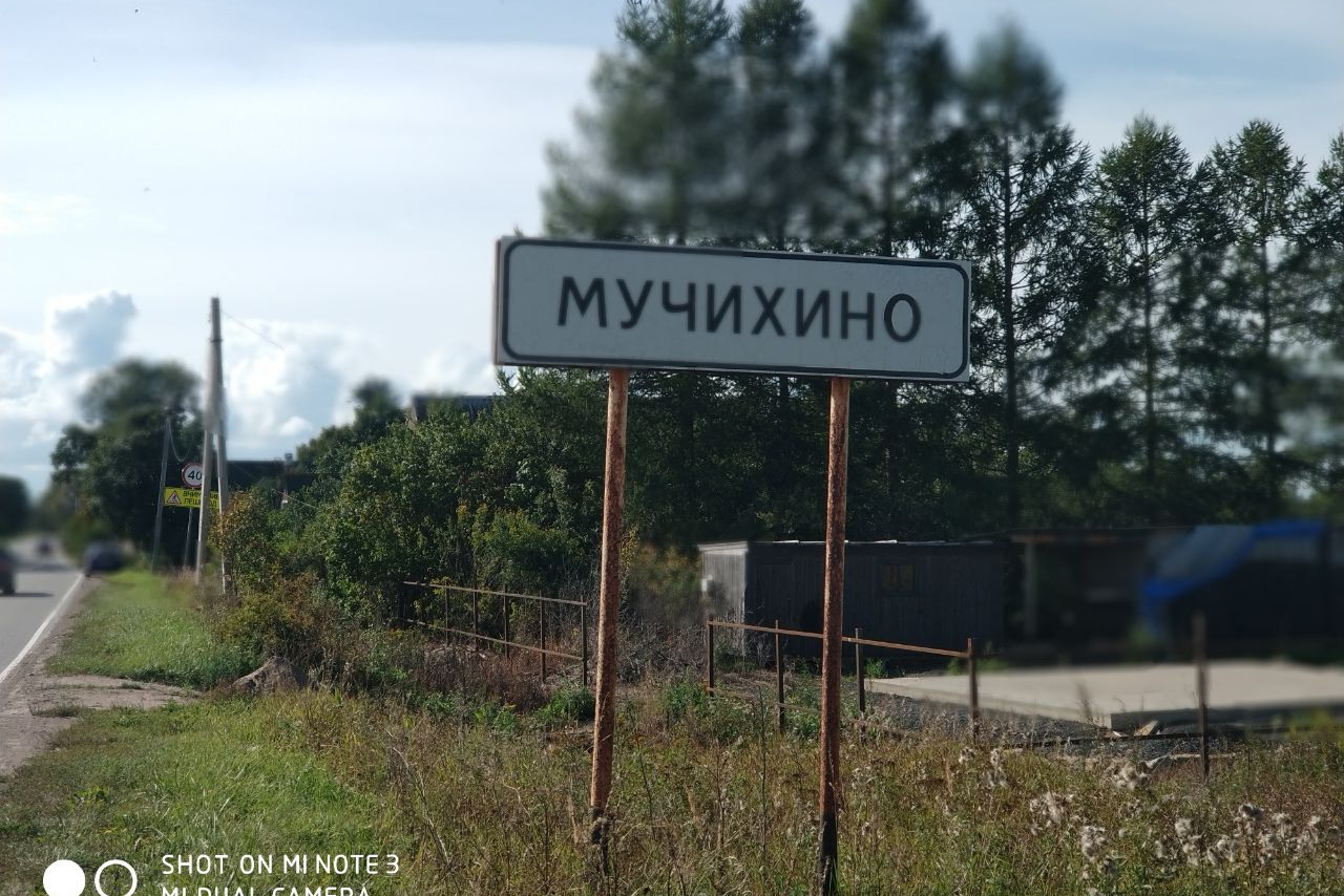 Школа в д. Мучихино. История Назиевского городского поселения