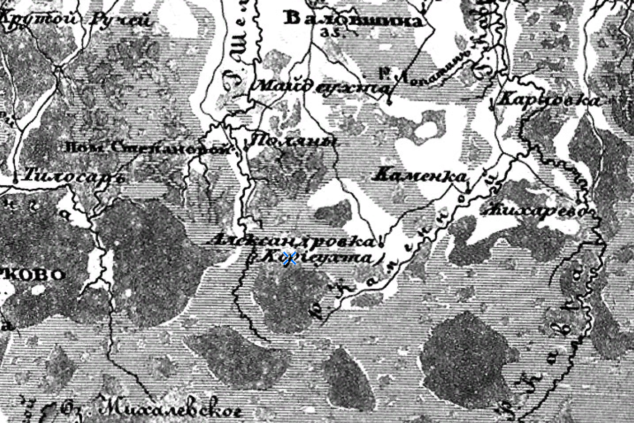 Деревня Александровка. История Назиевского городского поселения