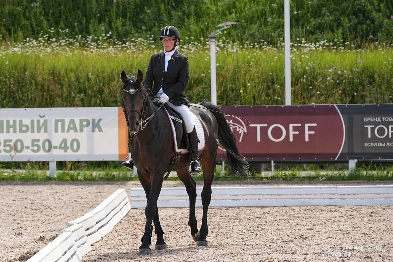 Соревнование по конному спорту