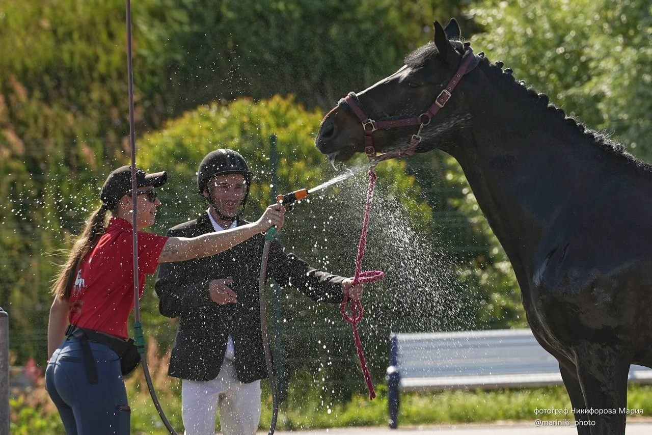 Соревнование по конному спорту