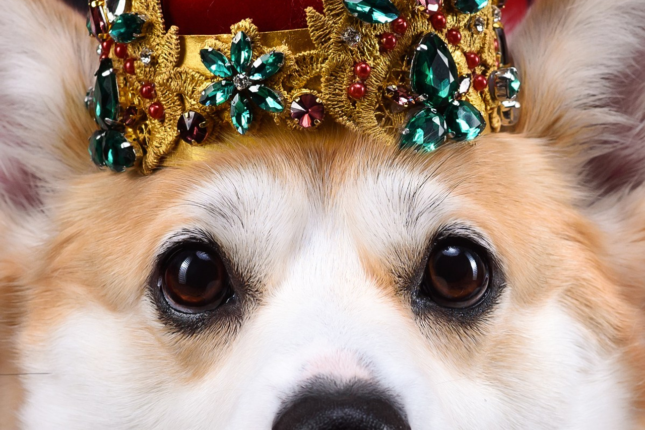 Королевская съемка — 20.05.2025