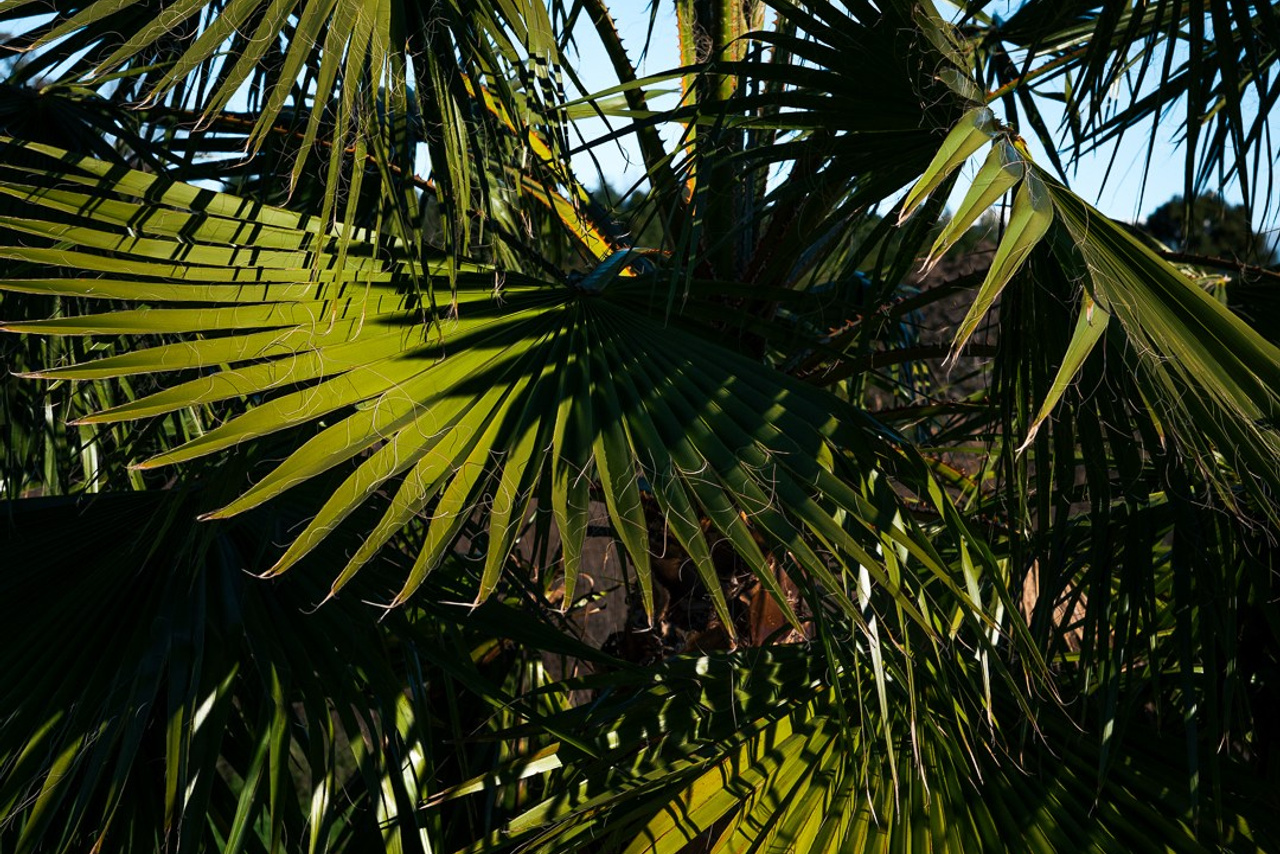 Заметки натуралиста. Yaratezza production