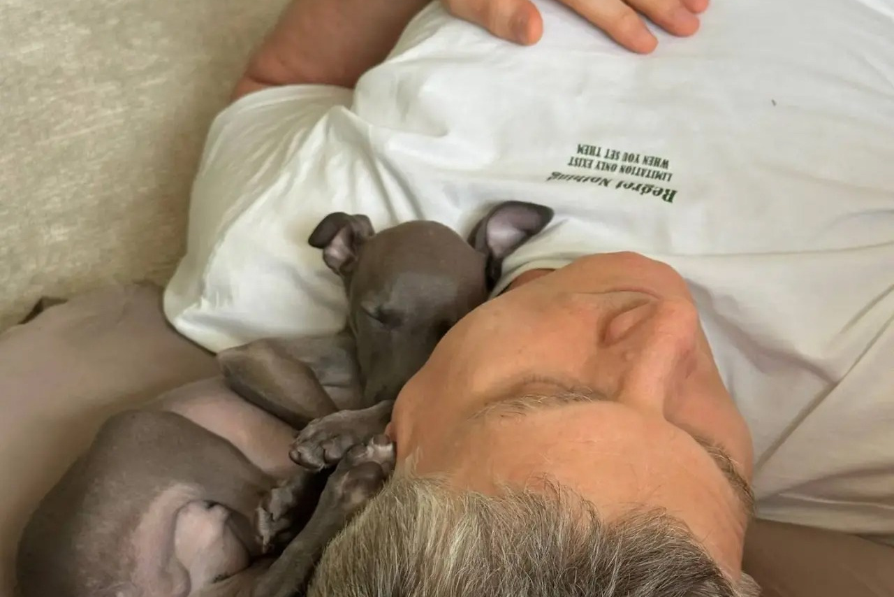 Отель для собак. Professional Italian Greyhound Kennel RKF/FCI ASTI SAPPHIRE 💎 Sochi|St. Petersburg