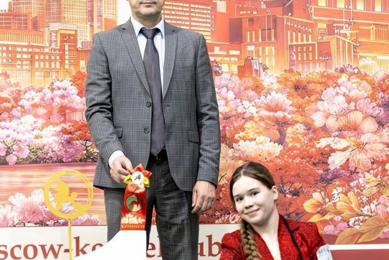 Блистательная Габби. Профессиональный питомник левреток РКФ/FCI ASTI SAPPHIRE 💎 Сочи|Санкт-Петербург