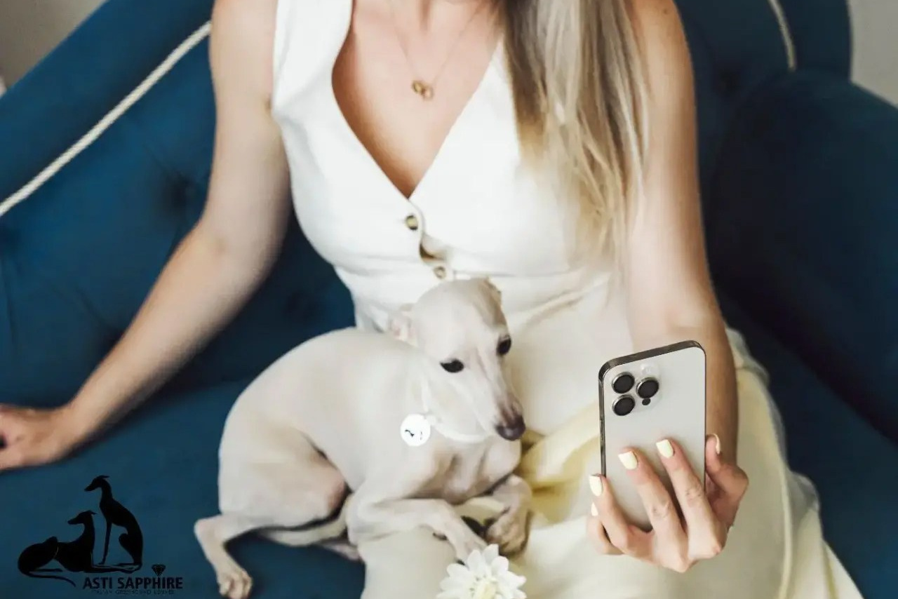 Отель для собак. Professional Italian Greyhound Kennel RKF/FCI ASTI SAPPHIRE 💎 Sochi|St. Petersburg