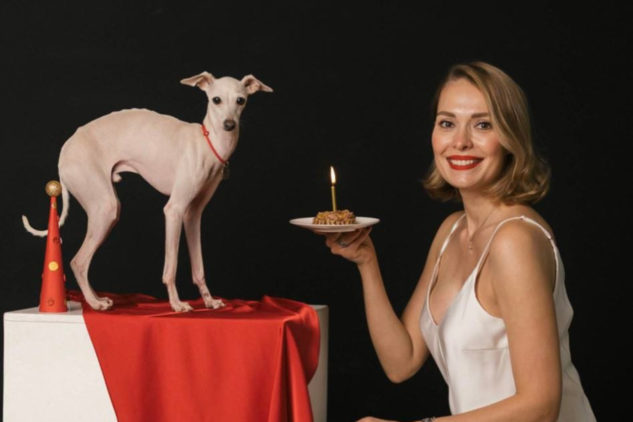 Отель для собак. Professional Italian Greyhound Kennel RKF/FCI ASTI SAPPHIRE 💎 Sochi|St. Petersburg