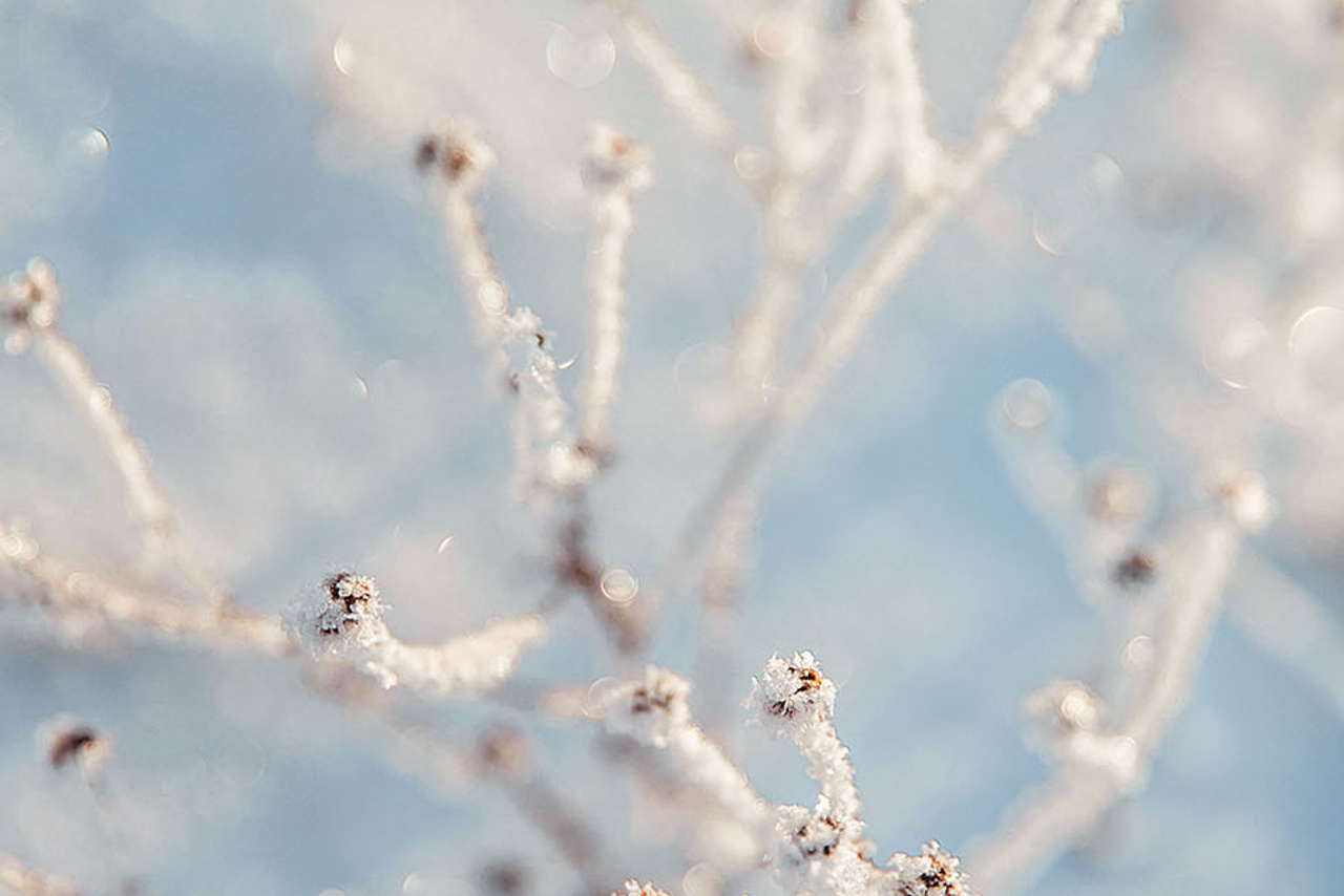 Природа зимой