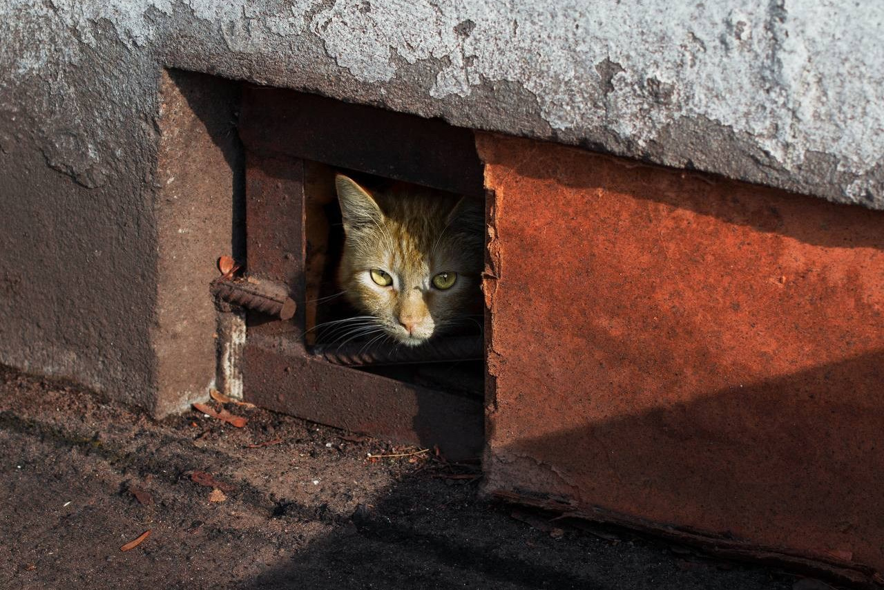 Selected works. Viktor Garshnep Documentary Photographer
