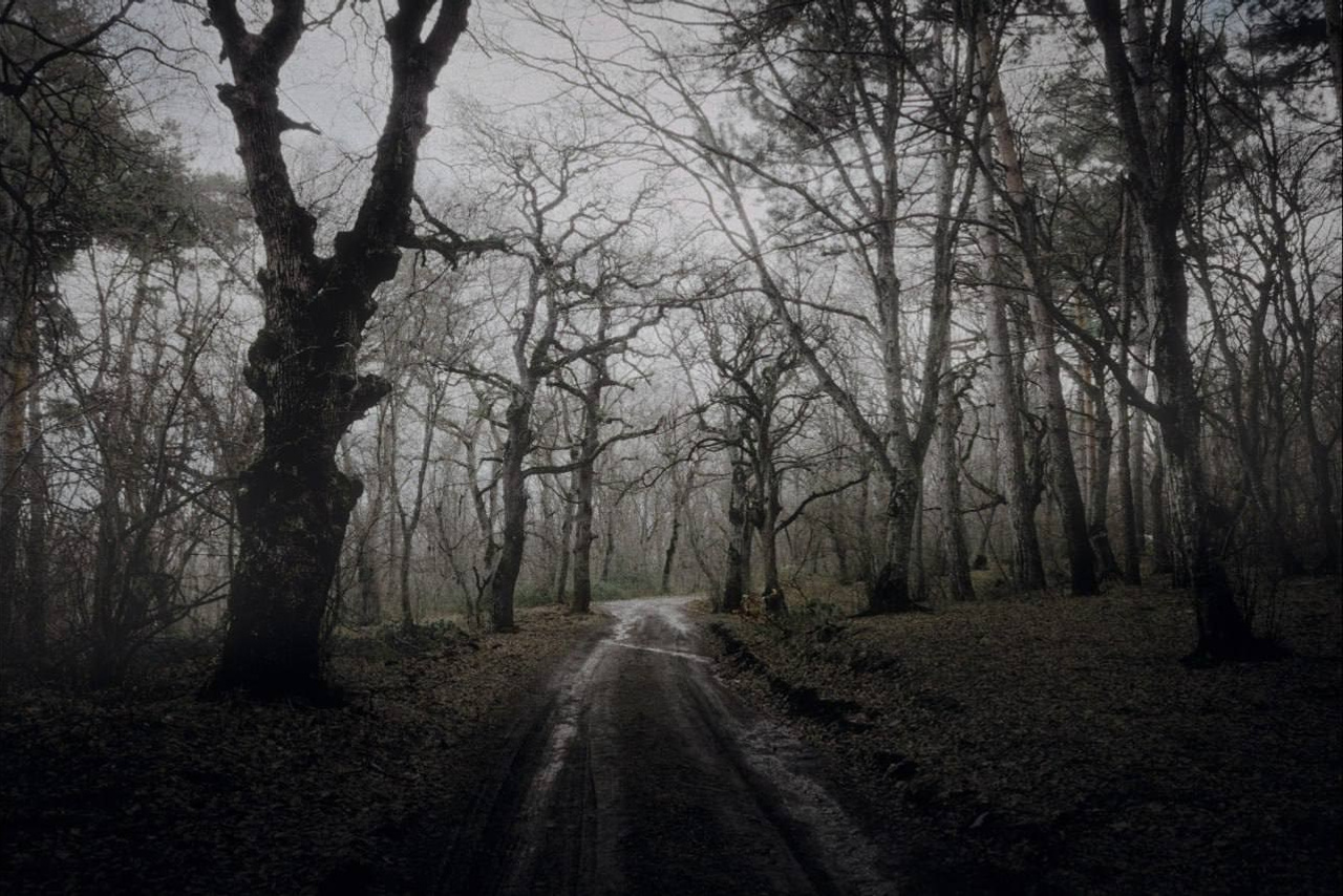 Selected works. Viktor Garshnep Documentary Photographer