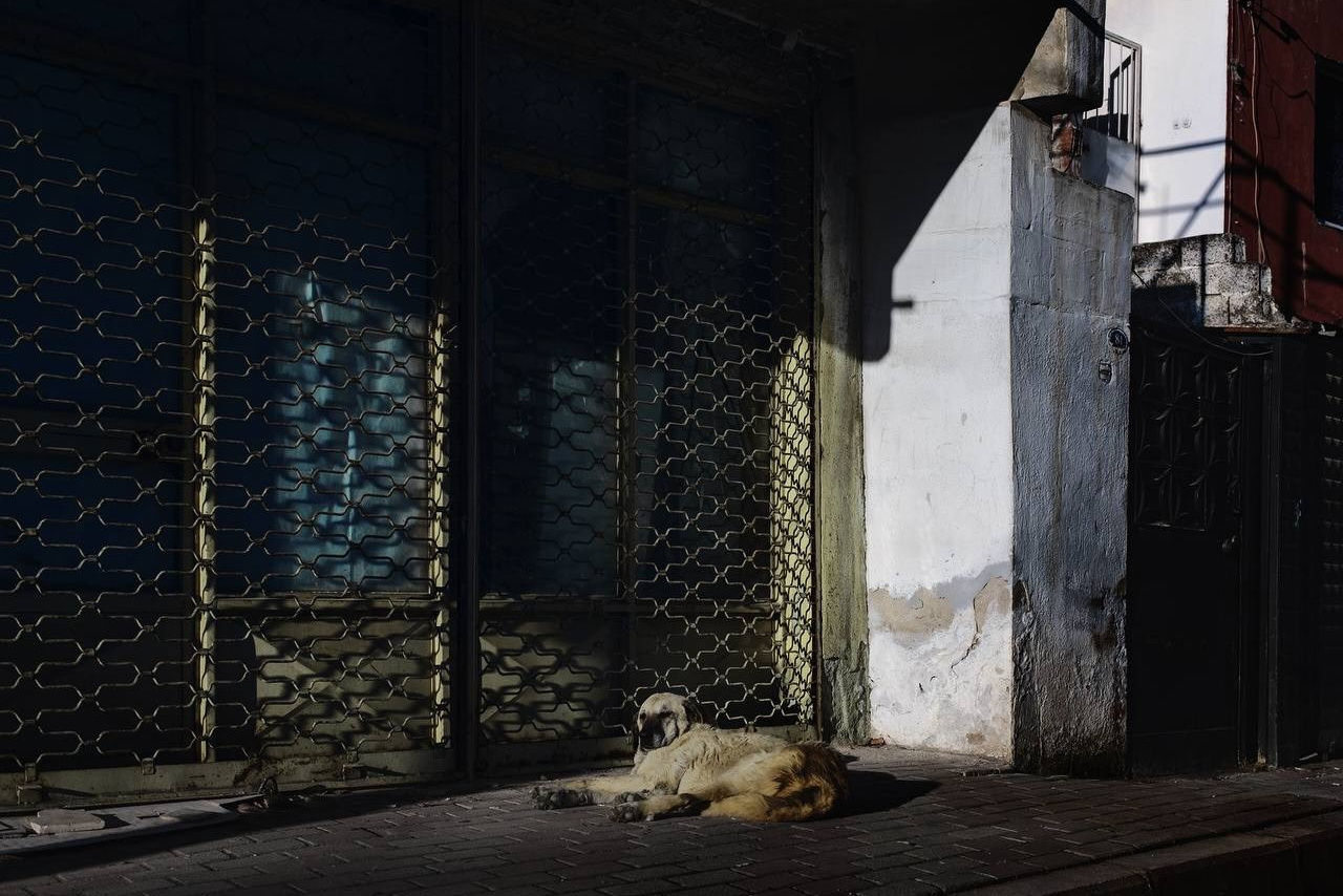Selected works. Viktor Garshnep Documentary Photographer