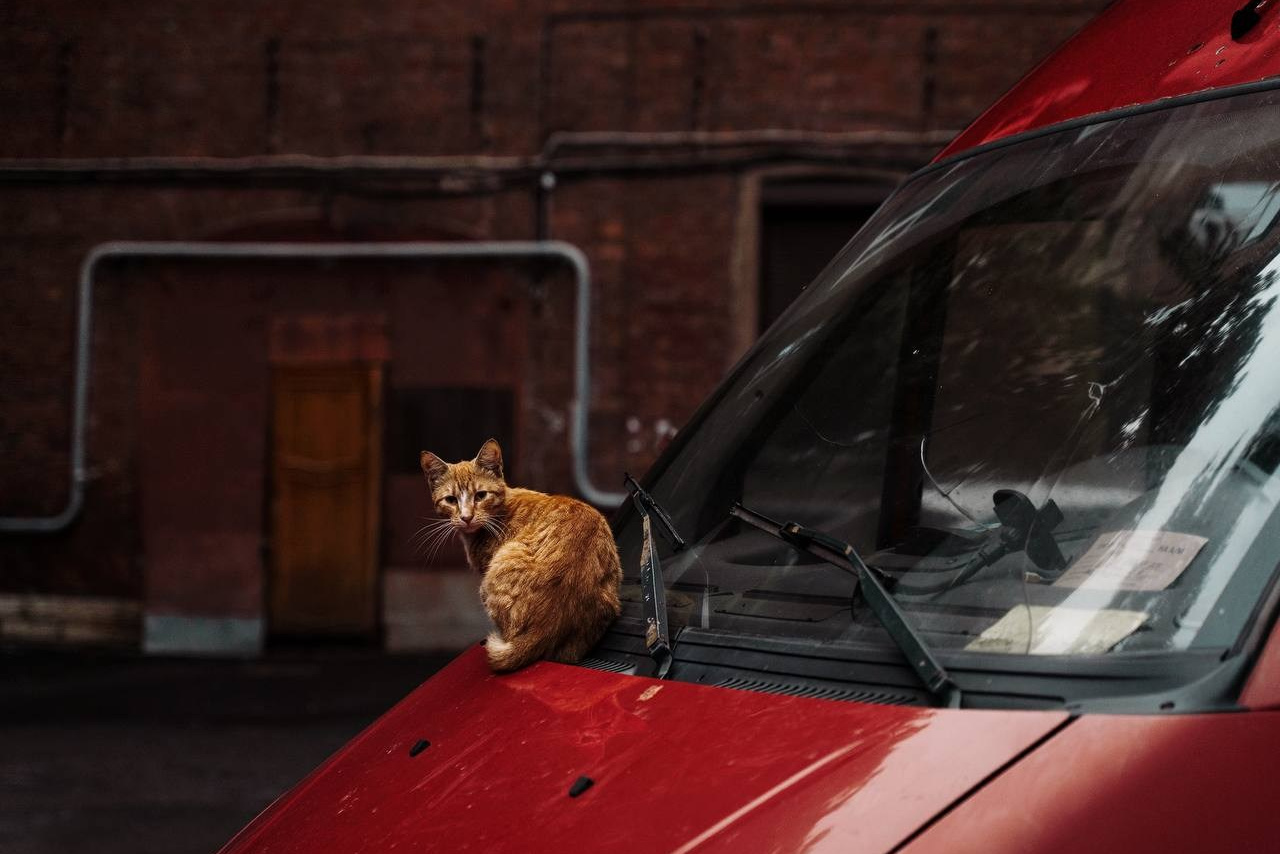 Selected works. Viktor Garshnep Documentary Photographer