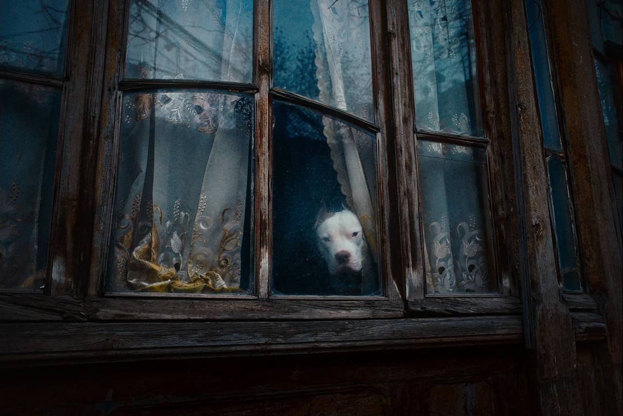 Selected works. Viktor Garshnep Documentary Photographer