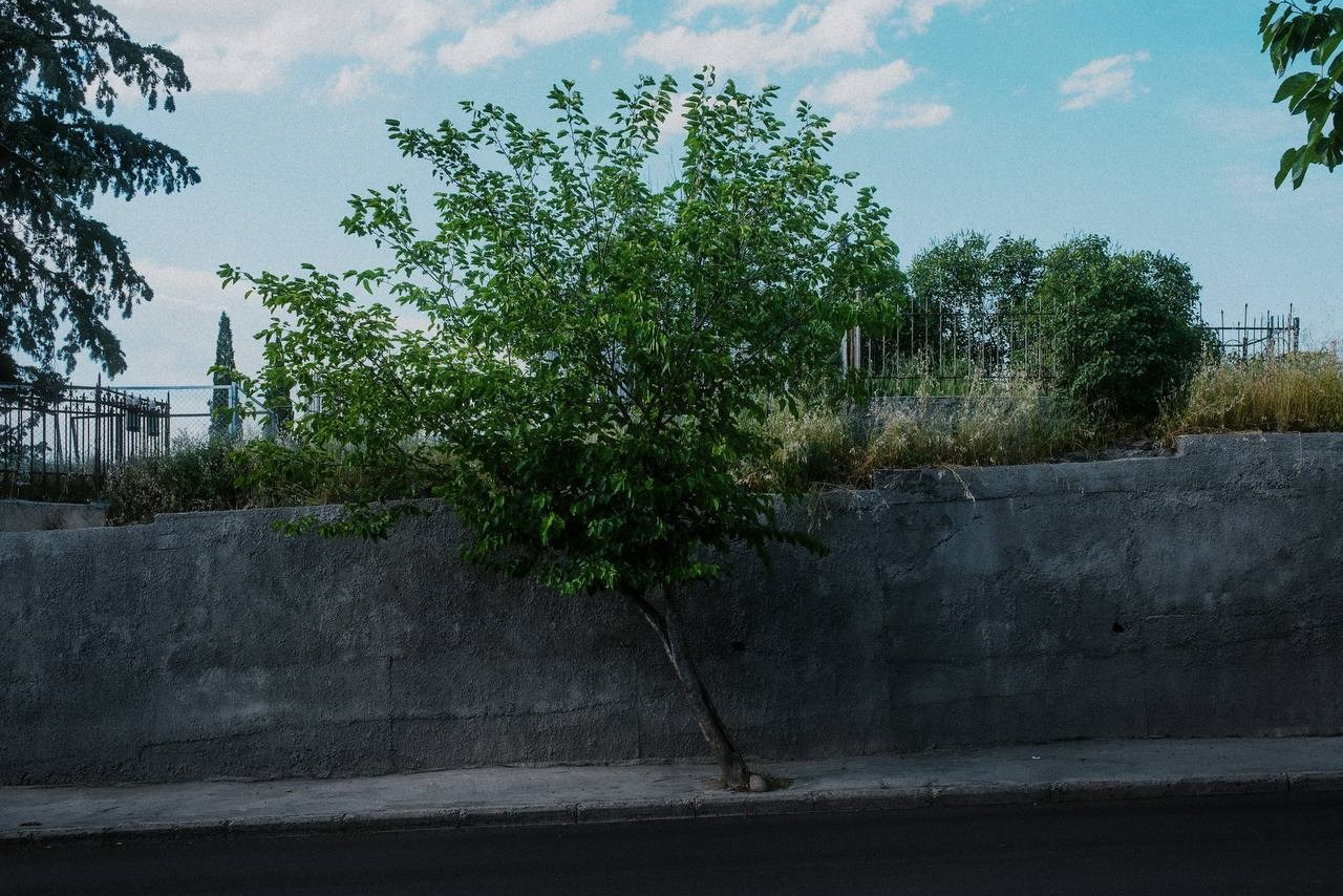Selected works. Viktor Garshnep Documentary Photographer