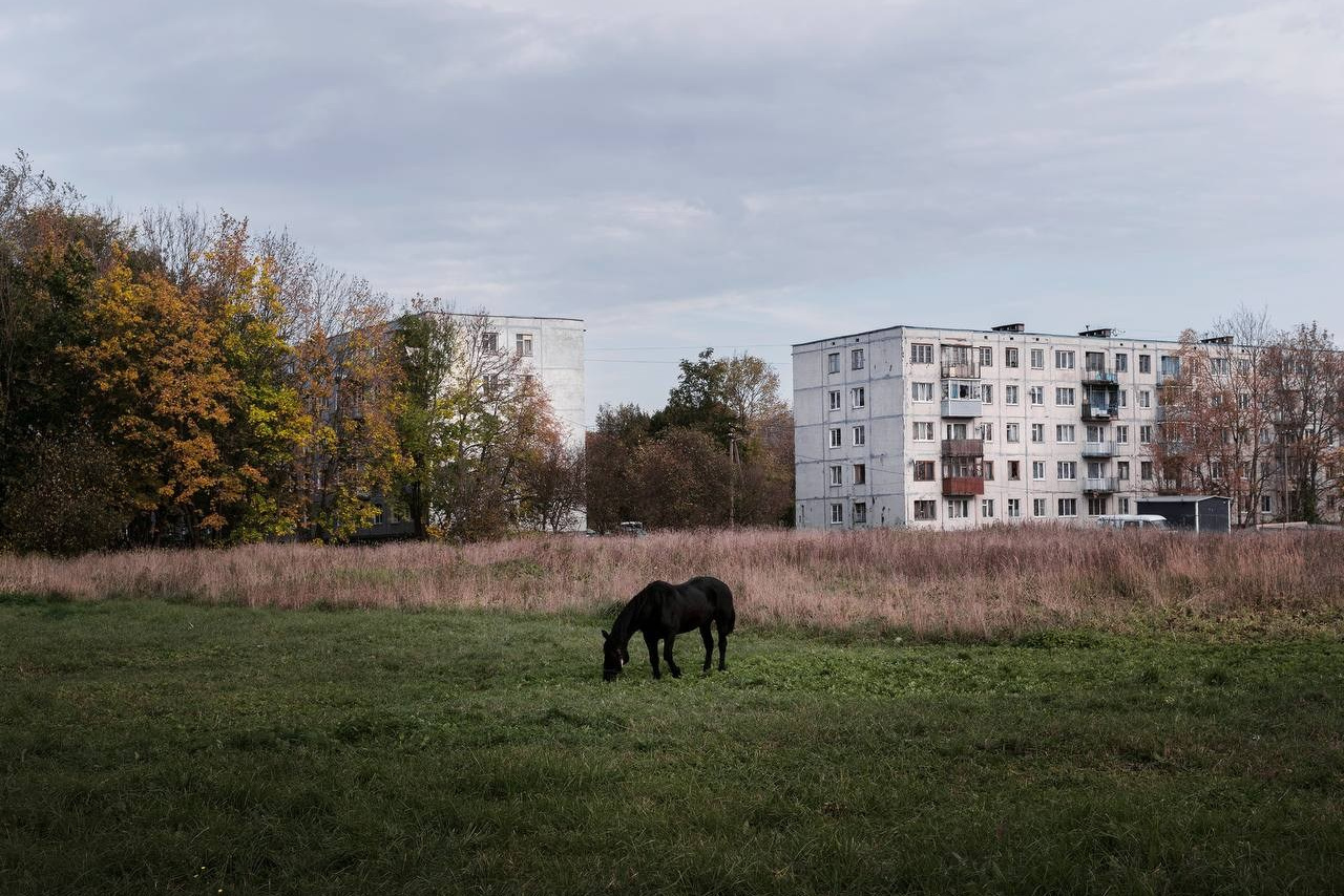 Selected works. Viktor Garshnep Documentary Photographer
