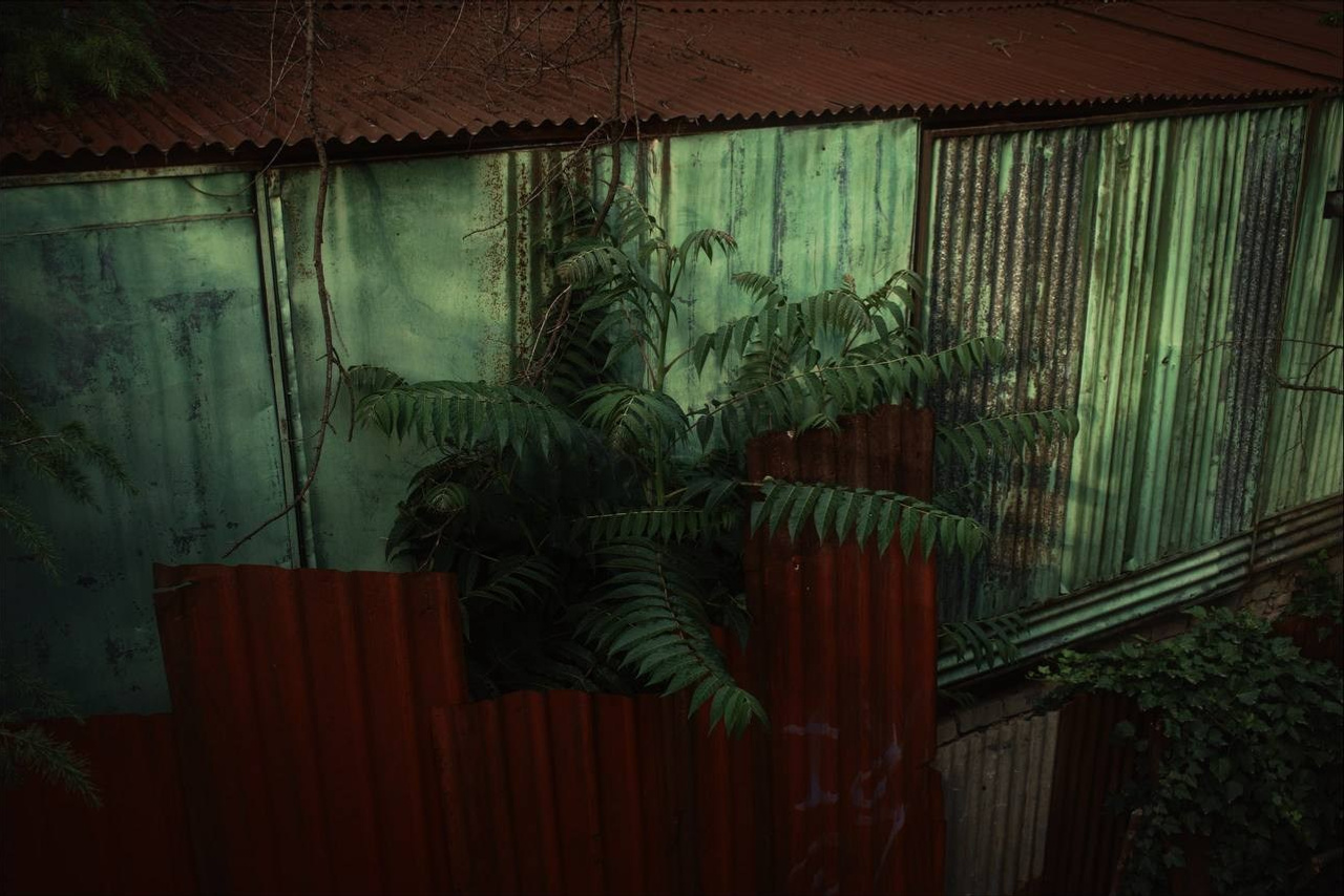 Selected works. Viktor Garshnep Documentary Photographer