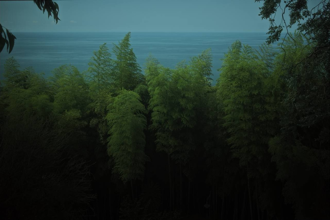 Selected works. Viktor Garshnep Documentary Photographer