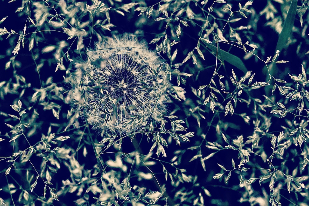 Философия и размышления