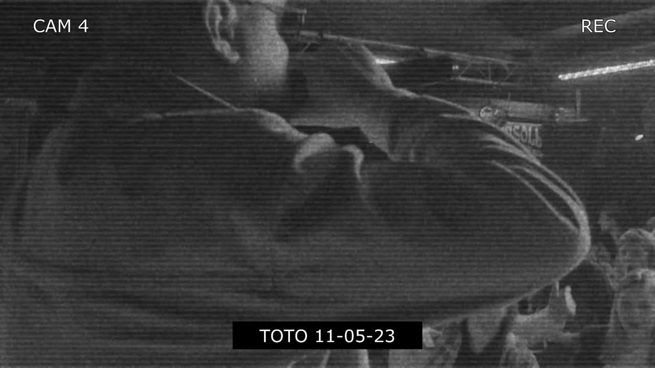 Видеоотчет событий и мероприятий. Видеосъемка Алекс ДеФильм