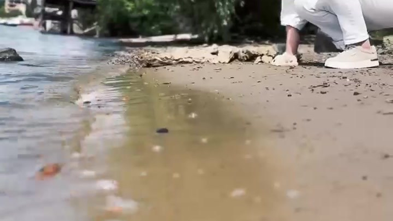 Марина с дочкой. Студия фото, видеографии и мультимедийного дизайна в Москве Multi Frame Studio