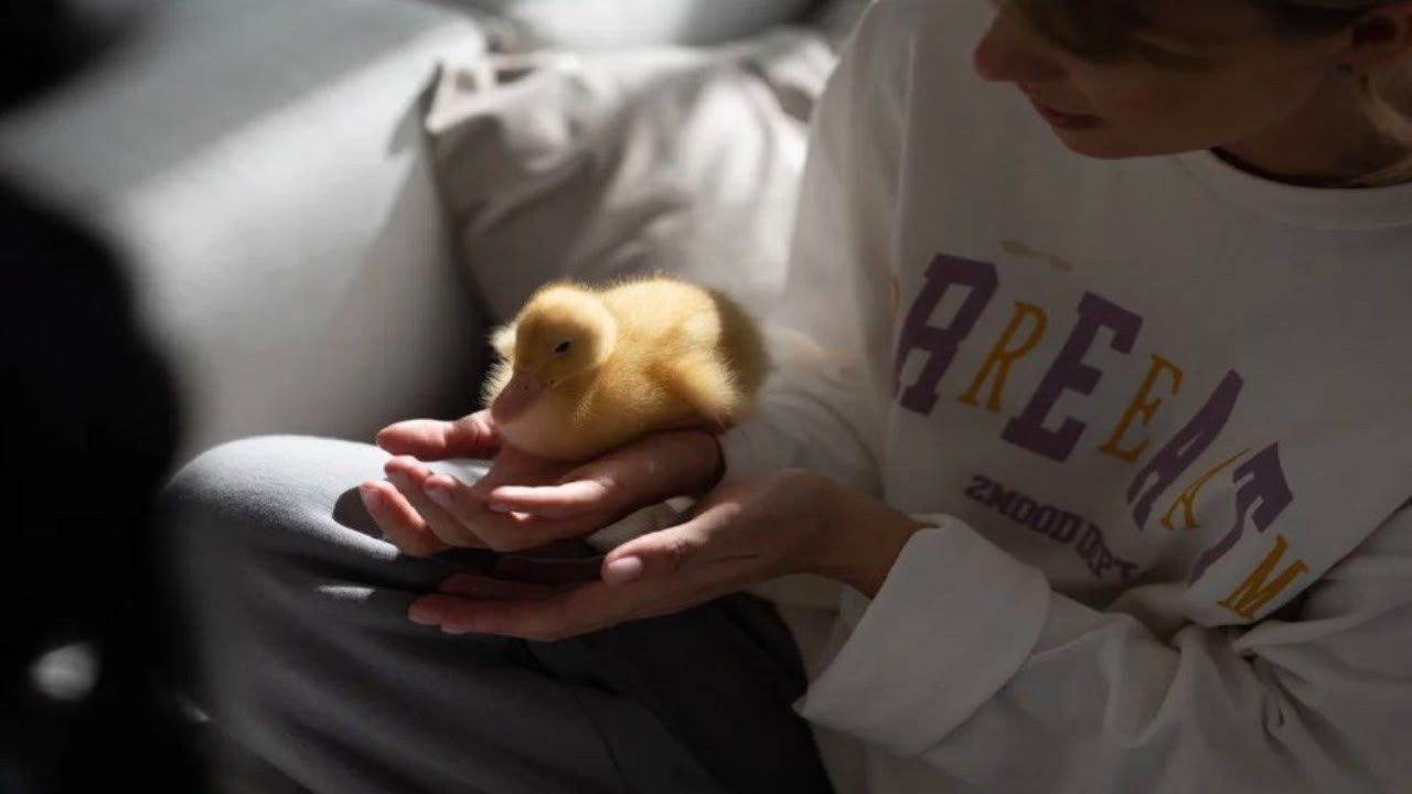 Детский магазин Malusik Store. Видеосъёмка Монтаж Контент Reels в СПБ