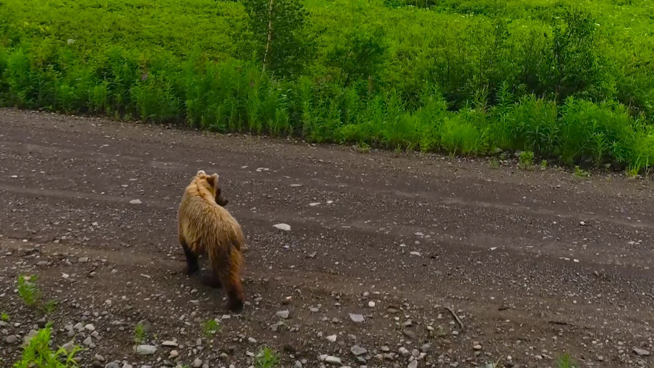 Дальний восток. Танцы и балет, эротика, ню фотосессии в Москве. Valius Werwolf