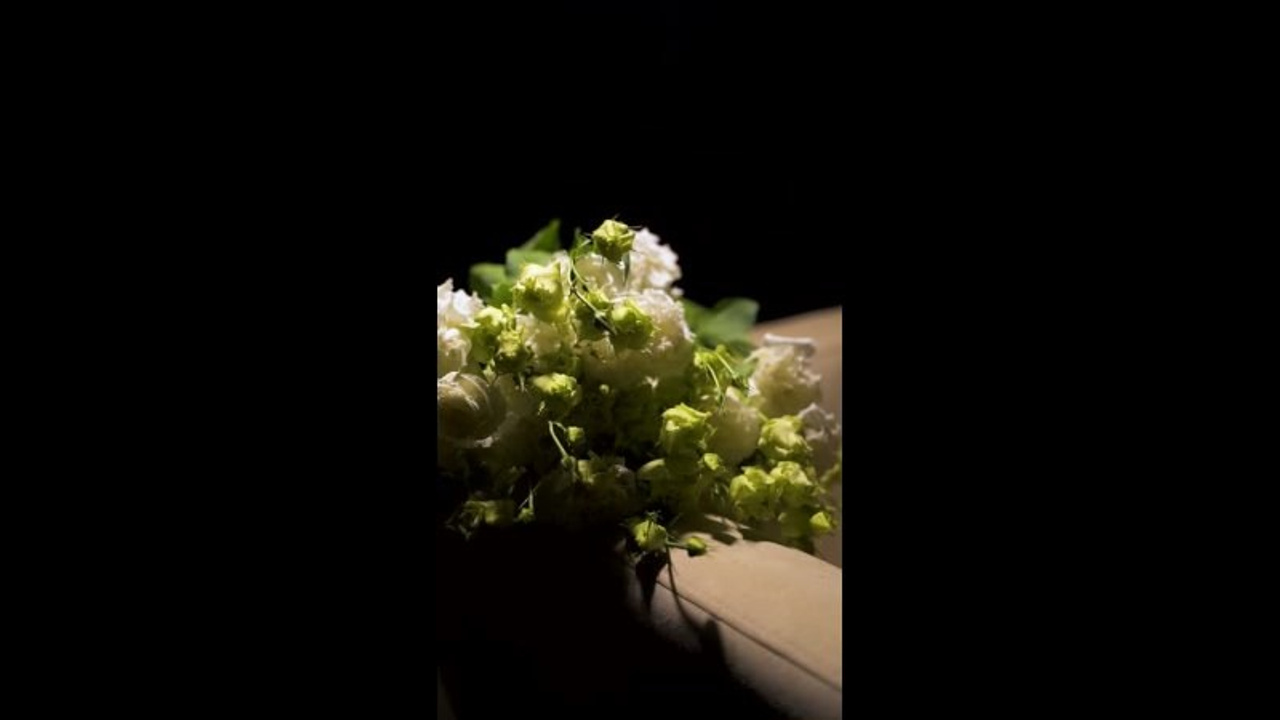 Профессиональная видеосъемка цветов для карточек товаров на Ozon и Wildberries. Динамические ролики Студийная предметная видеосъемка живых. Шедевры для Вас! Фотограф и Видеограф в Краснодаре Пахиев Руслан