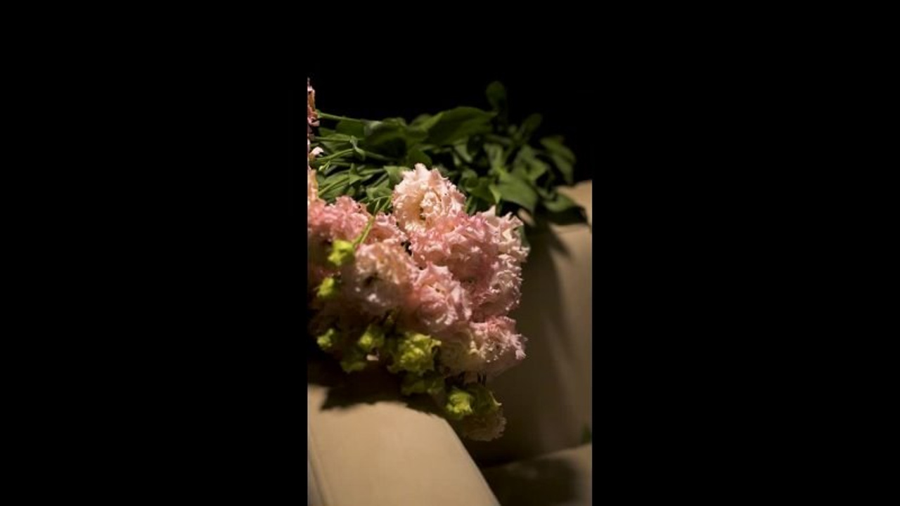 Профессиональная видеосъемка цветов для карточек товаров на Ozon и Wildberries. Динамические ролики Студийная предметная видеосъемка живых. Шедевры для Вас! Фотограф и Видеограф в Краснодаре Пахиев Руслан